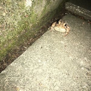 Meet your Posher, Kristin